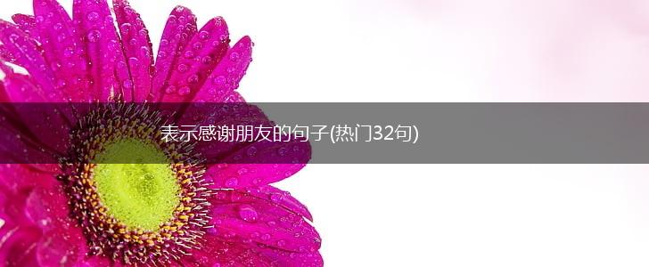 表示感谢朋友的句子(热门32句),第1张