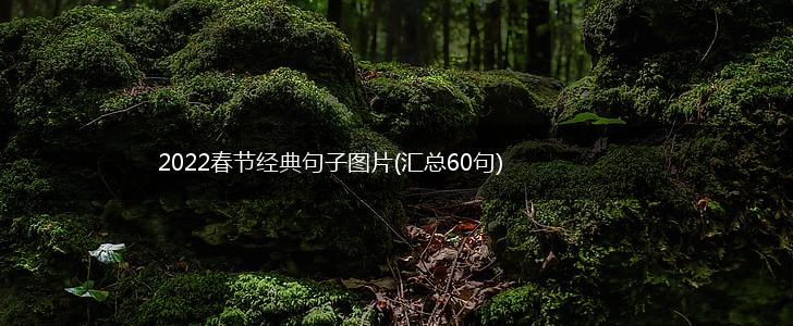 2022春节经典句子图片(汇总60句),第1张