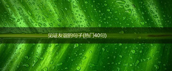见证友谊的句子(热门40句),第1张