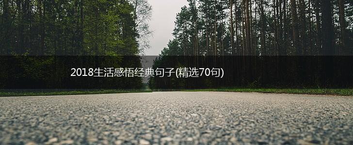 2018生活感悟经典句子(精选70句),第1张