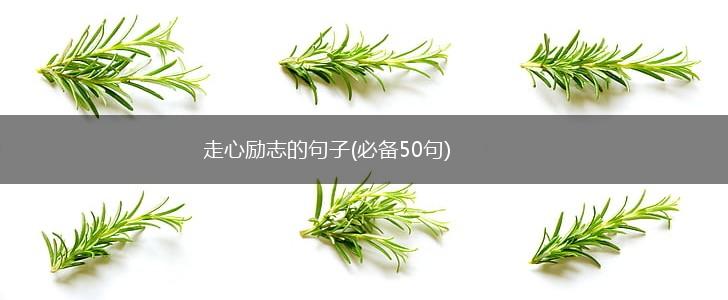 走心励志的句子(必备50句),第1张