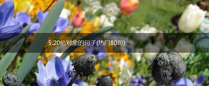 5.20给对象的句子(热门80句),第1张