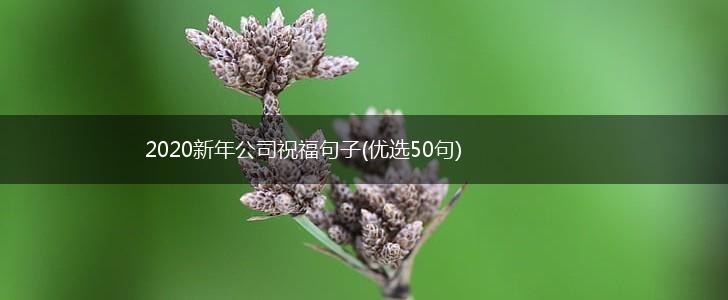 2020新年公司祝福句子(优选50句),第1张