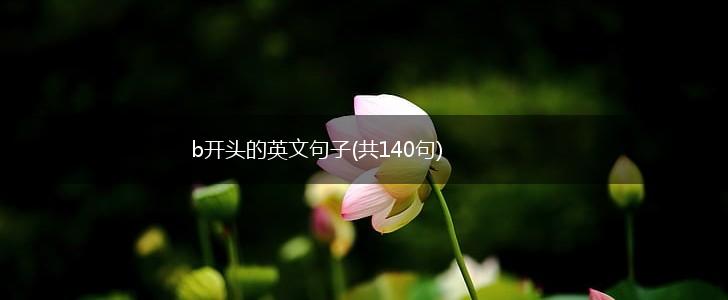 b开头的英文句子(共140句),第1张