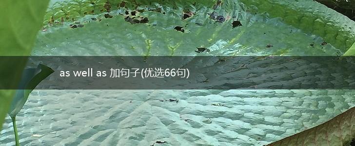 as well as 加句子(优选66句),第1张