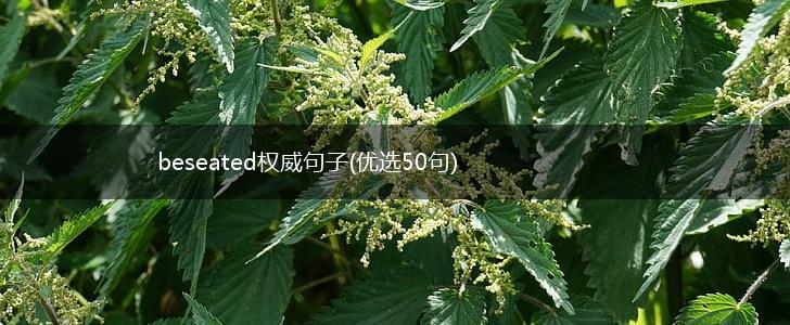 beseated权威句子(优选50句),第1张