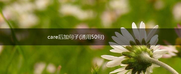 care后加句子(通用50句),第1张