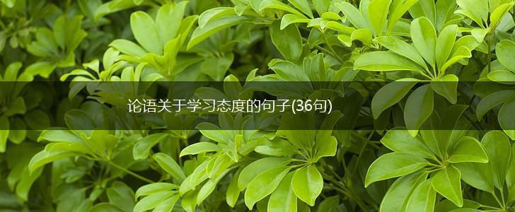 论语关于学习态度的句子(36句),第1张