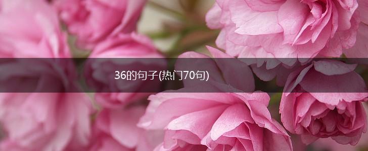 36的句子(热门70句),第1张