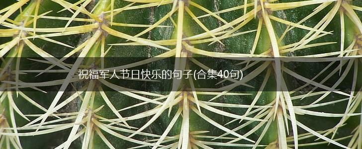 祝福军人节日快乐的句子(合集40句),第1张