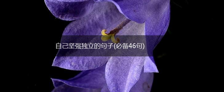 自己坚强独立的句子(必备46句),第1张