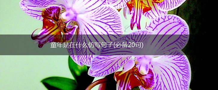 童年是在什么仿写句子(必备20句),第1张