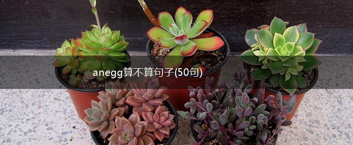 anegg算不算句子(50句),第1张