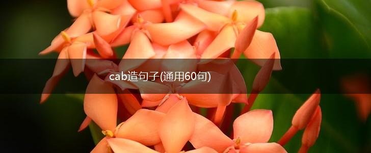cab造句子(通用60句),第1张