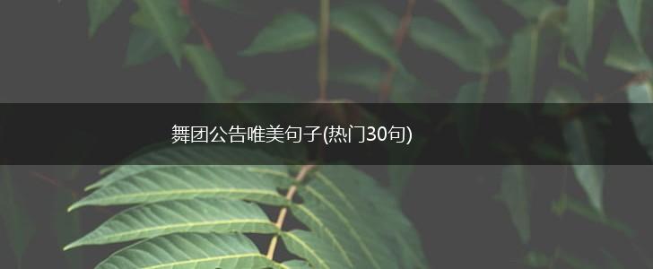舞团公告唯美句子(热门30句),第1张