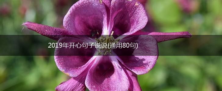 2019年开心句子说说(通用80句),第1张