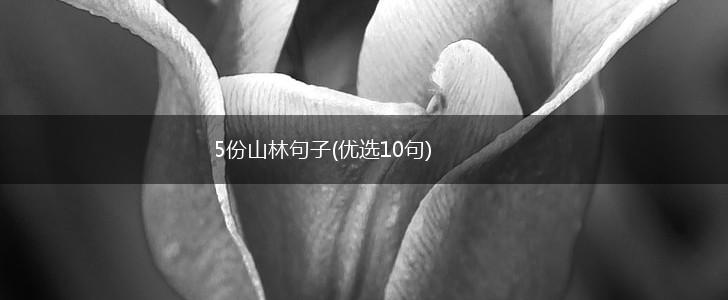5份山林句子(优选10句),第1张