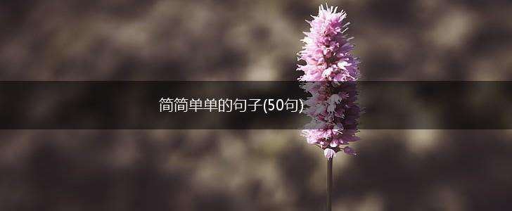 简简单单的句子(50句),第1张