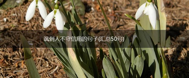 讽刺人不守信用的句子(汇总50句),第1张