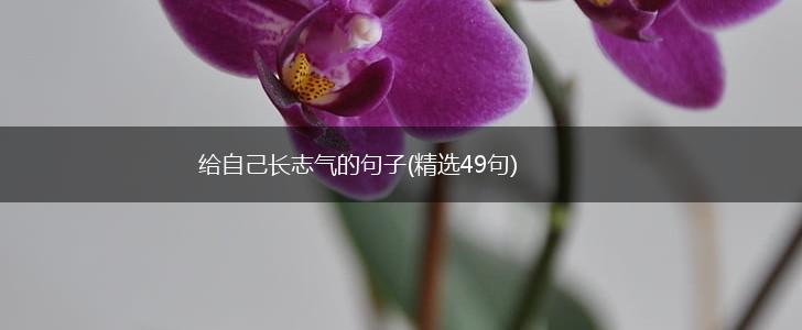 给自己长志气的句子(精选49句),第1张