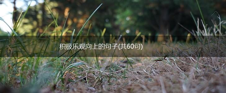 积极乐观向上的句子(共60句),第1张