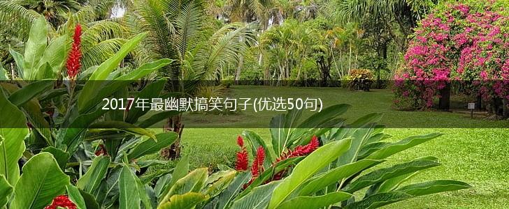 2017年最幽默搞笑句子(优选50句),第1张