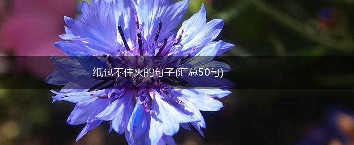 纸包不住火的句子(汇总50句),第1张