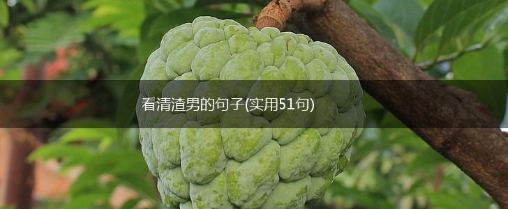 看清渣男的句子(实用51句),第1张