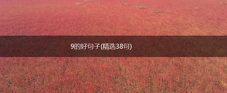 9的好句子(精选38句),第1张