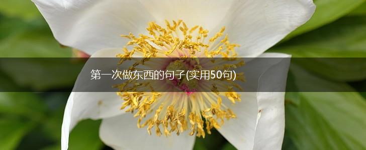 第一次做东西的句子(实用50句),第1张