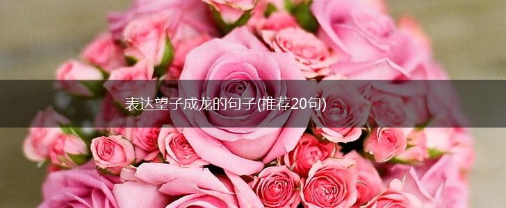表达望子成龙的句子(推荐20句),第1张