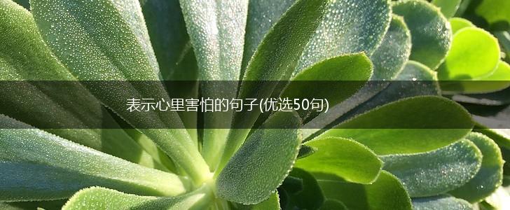 表示心里害怕的句子(优选50句),第1张