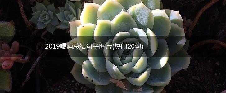 2019喝酒总结句子图片(热门20句),第1张
