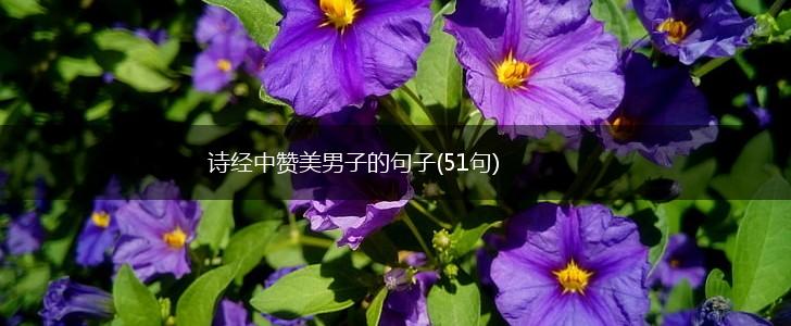 诗经中赞美男子的句子(51句),第1张