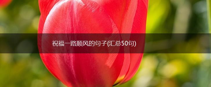 祝福一路顺风的句子(汇总50句),第1张