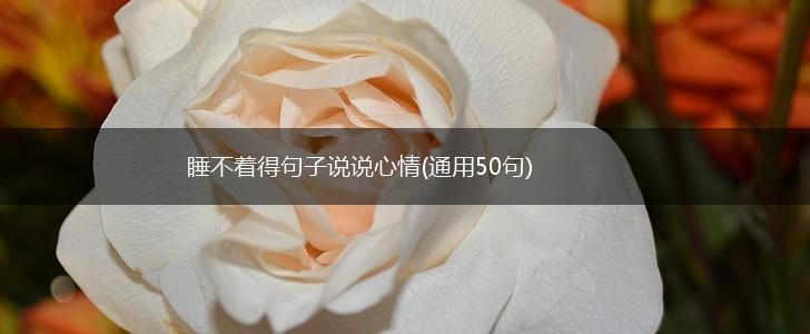 睡不着得句子说说心情(通用50句),第1张