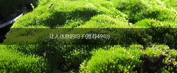 让人休息的句子(推荐49句),第1张