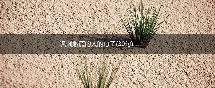 讽刺撒谎的人的句子(30句),第1张