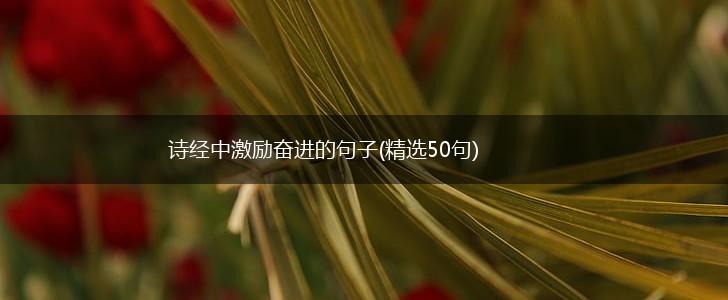诗经中激励奋进的句子(精选50句),第1张