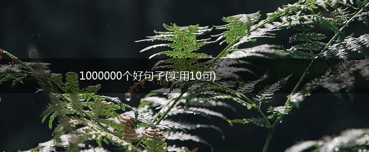 1000000个好句子(实用10句),第1张