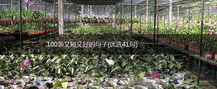 100条又短又好的句子(优选41句),第1张