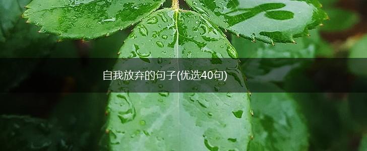 自我放弃的句子(优选40句),第1张