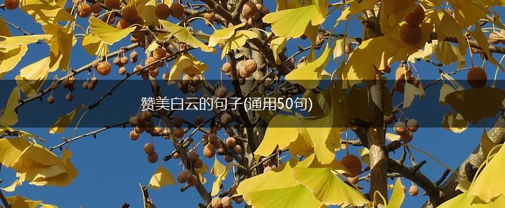 赞美白云的句子(通用50句),第1张