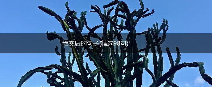 绝交后的句子(精选98句),第1张