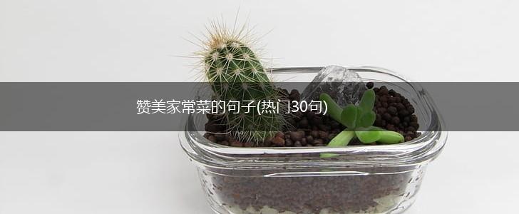 赞美家常菜的句子(热门30句),第1张