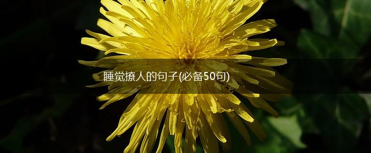 睡觉撩人的句子(必备50句),第1张