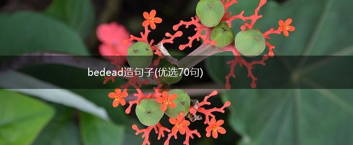 bedead造句子(优选70句),第1张