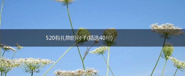 520有礼物的句子(精选40句),第1张