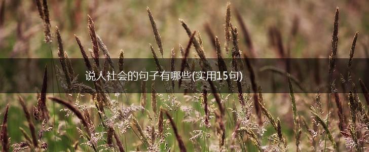 说人社会的句子有哪些(实用15句),第1张