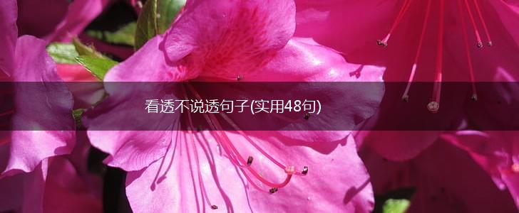 看透不说透句子(实用48句),第1张